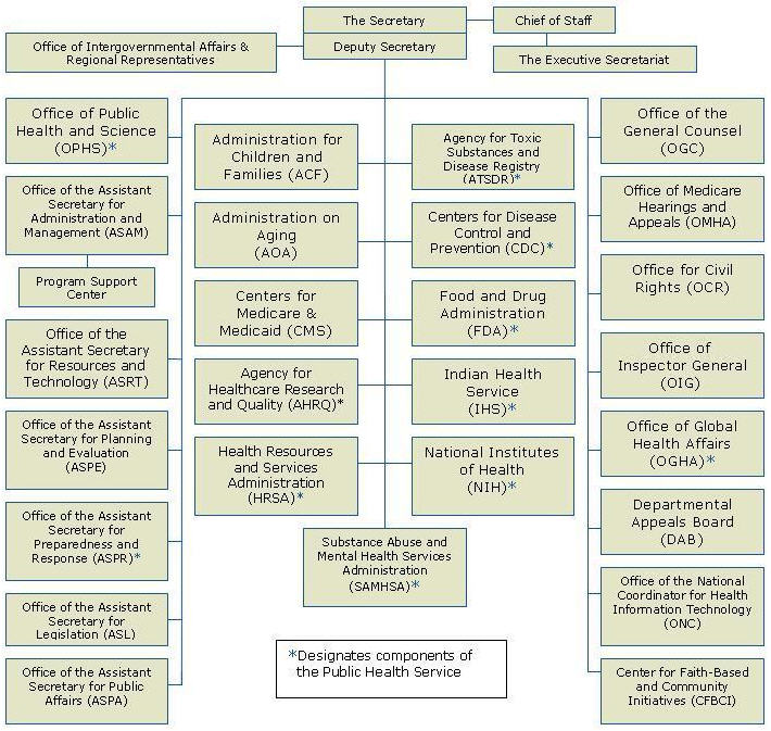 Department Of Justice Org Chart