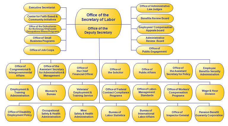 Us Government Organizational Chart
