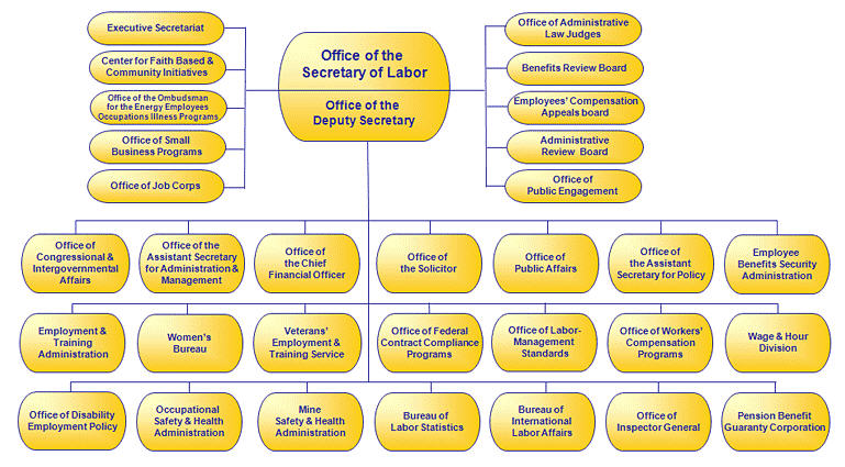 Us Gov Organizational Chart